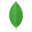 mongodb icon